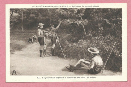 Scout - Scoutisme - Les Eclaireurs De France - Epreuve De Seconde Classe - La Patrouille Apprend à Connaître Les Arbres - Scoutisme