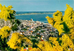 06 - Vallauris - Golfe Juan - Vue Générale - CPM - Carte Neuve - Voir Scans Recto-Verso - Vallauris