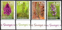 LUXEMBOURG 2023 - 4v - MNH - Orchids - Flowers - Blumen - Fleurs - Flores - Flora - Fiori - Bloemen - Orchidées - Orchideeën