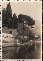 ! 1930 Foto Ansichtskarte, Photo, Lugano, Tessin, Schweiz - Lugano