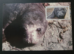 TAAF  T Numéro 510 Oblitéré De Kerguelen Le 1/1/2008 Sur Carte . - Storia Postale