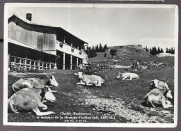 Chalet Restaurant Et Sommet De La Dent De Vaulion (A19p79) - Vaulion