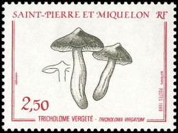 Timbre De SPM N° 497 Neuf ** - Unused Stamps