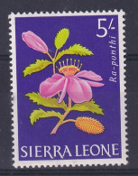 Sierra Leone: 1963   Flowers     SG252     5/-     MNH  - Sierra Leone (1961-...)