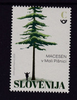 3333 Slovenia In Superlatives 2024 MNH Tourism Tree Wood Forest Millennial Larch In The Valley Of Mala Pišnica - Alberi