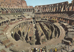 *CPM - ITALIE - LATIUM - ROME - Intérieur Du Colisé - Colosseo