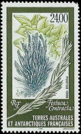 Timbre TAAF N° 244 Neuf ** - Unused Stamps