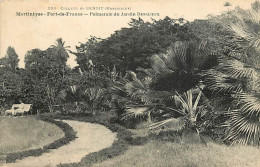 Pays - Martinique - Fort De France - Palmeraie Du Jardin Desclieux - CPA - Voir Scans Recto-Verso - Fort De France