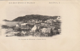 Iles Saint Pierre Et Miquelon Un Village De Pecheurs à Terre Neuve édition A M Bréhler Avant 1903 - Saint-Pierre Und Miquelon