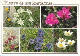 France > Thèmes > Fleurs, Plantes & Arbres > Fleurs          > N°865 - Flowers