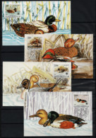 3529 Yugoslavia 1989 Protected Animal, Ducks MC - Tarjetas – Máxima