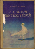 A Galambtenyésztésről, Cikkgyűtemény (1928-1960), Bangó Ferenc, 1964 C4365N - Alte Bücher