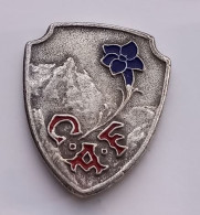 A143 Pin's Alpinisme C.A.F Club Alpin Français Fleur Alpinism Mountain Climbing Achat Immédiat - Associations