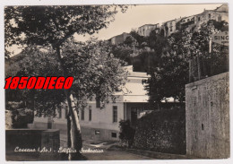 CASSANO - EDIFICIO SCOLASTICO F/GRANDE VIAGGIATA 1964 - Avellino