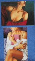 CPM LOT DE 2 CARTE PIN UP - THE RESONANCE WOMEN Peintre  MICHAEL COAKES - Pin-Ups