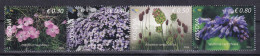 KOSOVO 2024,FLORA,PLANTS,ENDEMIC FLORA,,MNH - Kosovo