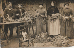 Carte Photo,  Trois Femmes Et Deux Hommes à L'épluchage Des Poireaux Avec Chien Assis Sur Chaise - Bauern