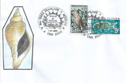 WALLIS & FUTUNA.  1 ère Terre Francaise à Accéder à L'AN 2000  (lettre 1-01-2000)   RARE - Storia Postale