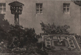 39672 - Zittau - Blumenuhr Mit Glockenturm - 1968 - Zittau