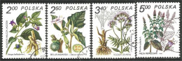 740 Pologne Plantes Médicinales Medicinal Plant Heilpflanze Pianta Medicinale (POL-318d) - Other & Unclassified