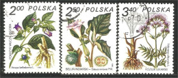 740 Pologne Plantes Médicinales Medicinal Plant Heilpflanze Pianta Medicinale (POL-319c) - Altri & Non Classificati