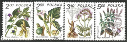 740 Pologne Plantes Médicinales Medicinal Plant Heilpflanze Pianta Medicinale (POL-318b) - Médecine