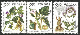 740 Pologne Plantes Médicinales Medicinal Plant Heilpflanze Pianta Medicinale (POL-319e) - Other & Unclassified