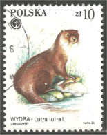 740 Pologne Protected Animal Protégé Loutre Otter (POL-314a) - Autres & Non Classés