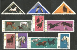 740 Pologne Cheval Horse Pferd Paard Caballo (POL-310) - Dogs