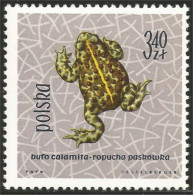 740 Pologne Grenouille Frog Rana Sapo Frosch BHufo Calamita MH * Neuf CH (POL-218) - Ranas