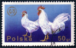 740 Pologne Coq Poule Poulet Cock Rooster Hahn Huhn (POL-167) - Gallinacées & Faisans