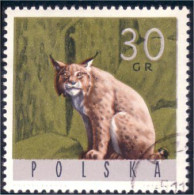 740 Pologne Lynx (POL-92) - Big Cats (cats Of Prey)