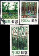 740 Pologne Arbres Trees (POL-60) - Árboles