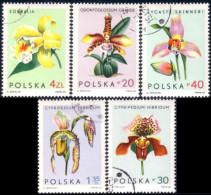 740 Pologne Orchidees Orchids (POL-57) - Orchidées