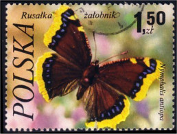 740 Pologne Butterfly Papillon Schmetterlinge Mariposa Farfala (POL-28) - Papillons