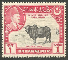 716 Pakistan Bull Taureau Vache Vaca Kuh Koe Mucca Vacca MH * Neuf CH Légère (PAK-17b) - Food