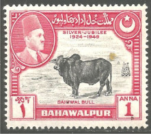 716 Pakistan Taureau Sahiwal Bull Stier Steer Toro MH * Neuf CH Légère (PAK-13) - Food