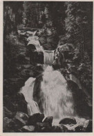 55145 - Triberg - Wasserfall - Ca. 1960 - Triberg