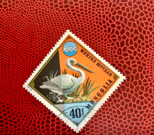 MONGOLIE 1974 1v Used Mi Pájaro Bird Pássaro Vogel Ucello Oiseau MONGOLIA - Pelicans