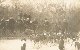 Chasse à Courre * Carte Photo * Meute Chiens Chasseurs Hunt Hunting - Hunting