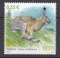 Estland 2011. European Brown Hare. 1 W. MNH. - Estonie