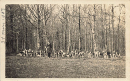 Chasse à Courre * Carte Photo 1913 * Meute Chiens Chasseurs Hunt Hunting - Jacht