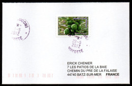 Mayotte , Enveloppe Coconi 29 05 2012 Timbre France Papaye - Other & Unclassified