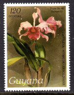 GUYANA - 1988 REICHENBACHIA ORCHIDS PLATE 48 SERIES 2 INSCRIBED OFFICIAL FINE MNH ** SG O53 - Guyane (1966-...)