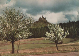 25657 - Die Burg Hohenzollern - Ca. 1975 - Balingen