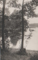 3794 - Bäume Am See - Ca. 1935 - Carte Geografiche
