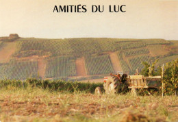 CPM - R - VAR - LE LUC - AMITIES DU LUC - TRAVAUX AGRICOLES - Le Luc