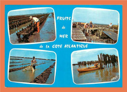 A408 / 207 Fruits De Mer De La Cote Atlantique Multivues ( PÃƒÂªche ) - Fischerei