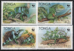 Tonga 1990 WWF Naturschutz Kurzkammleguan 1140/43 Postfrisch - Tonga (1970-...)