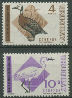 Uruguay 1968 Vögel Witwenente Weißseidenreiher 1116/17 Postfrisch - Uruguay